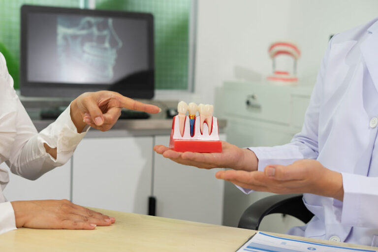 Dentist explains dental implants using model in dental clinic.
